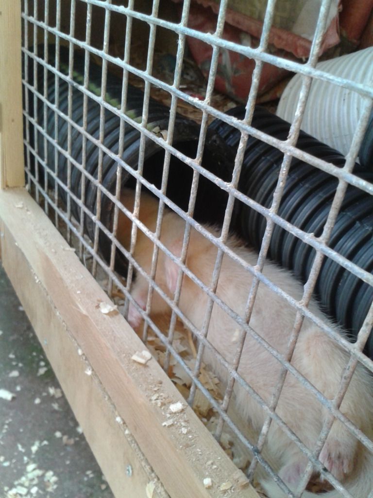 2012-08-11170029.jpg
