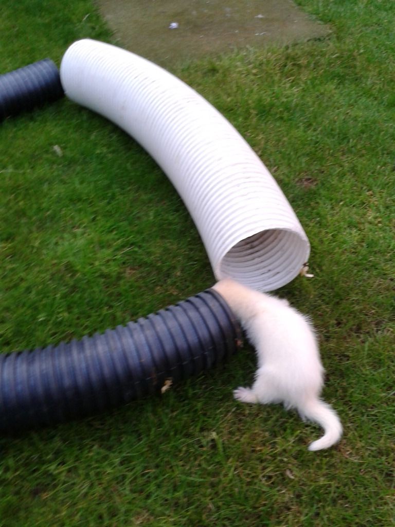 2012-08-13192812.jpg