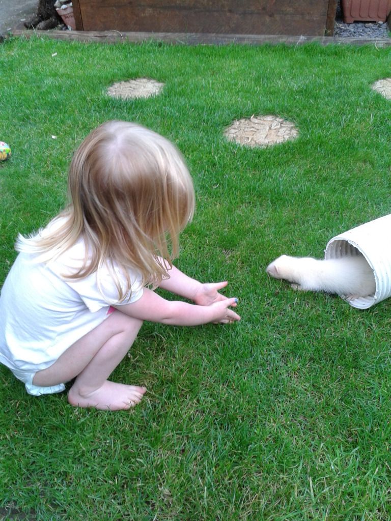 2012-08-13193032.jpg