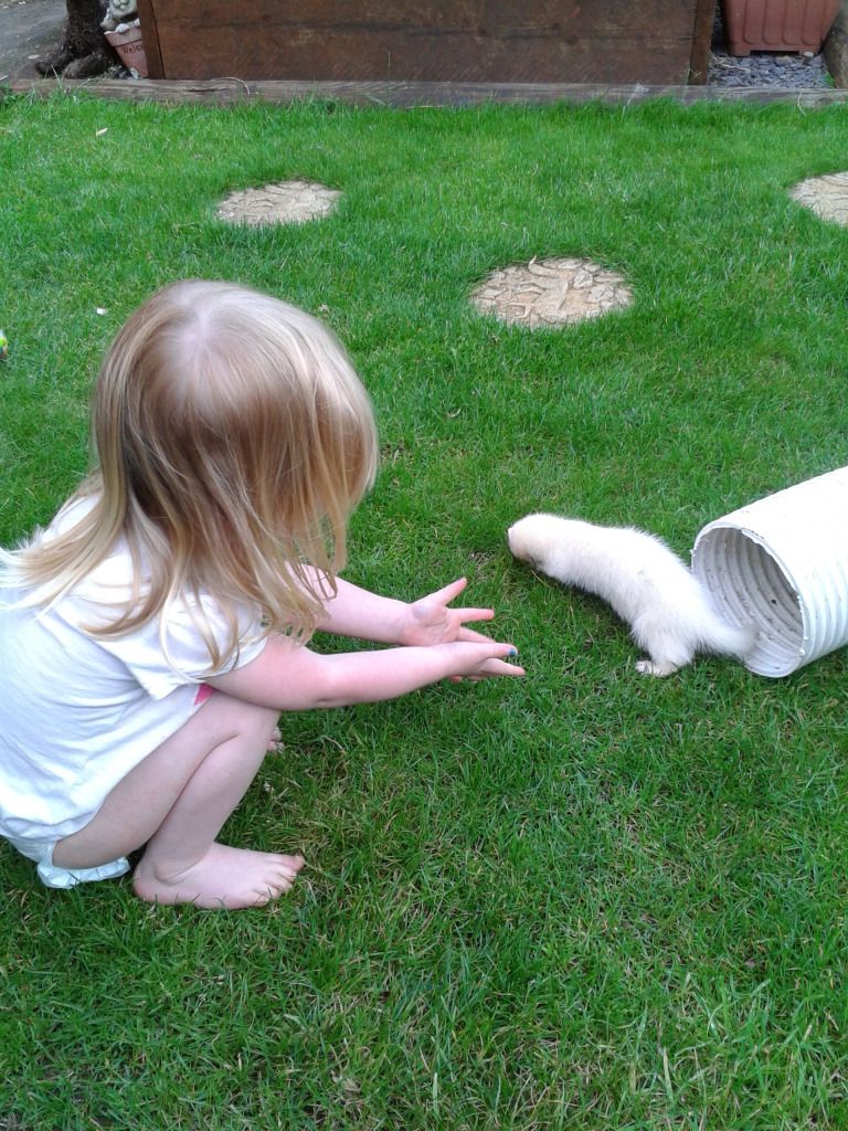 2012-08-13193034.jpg