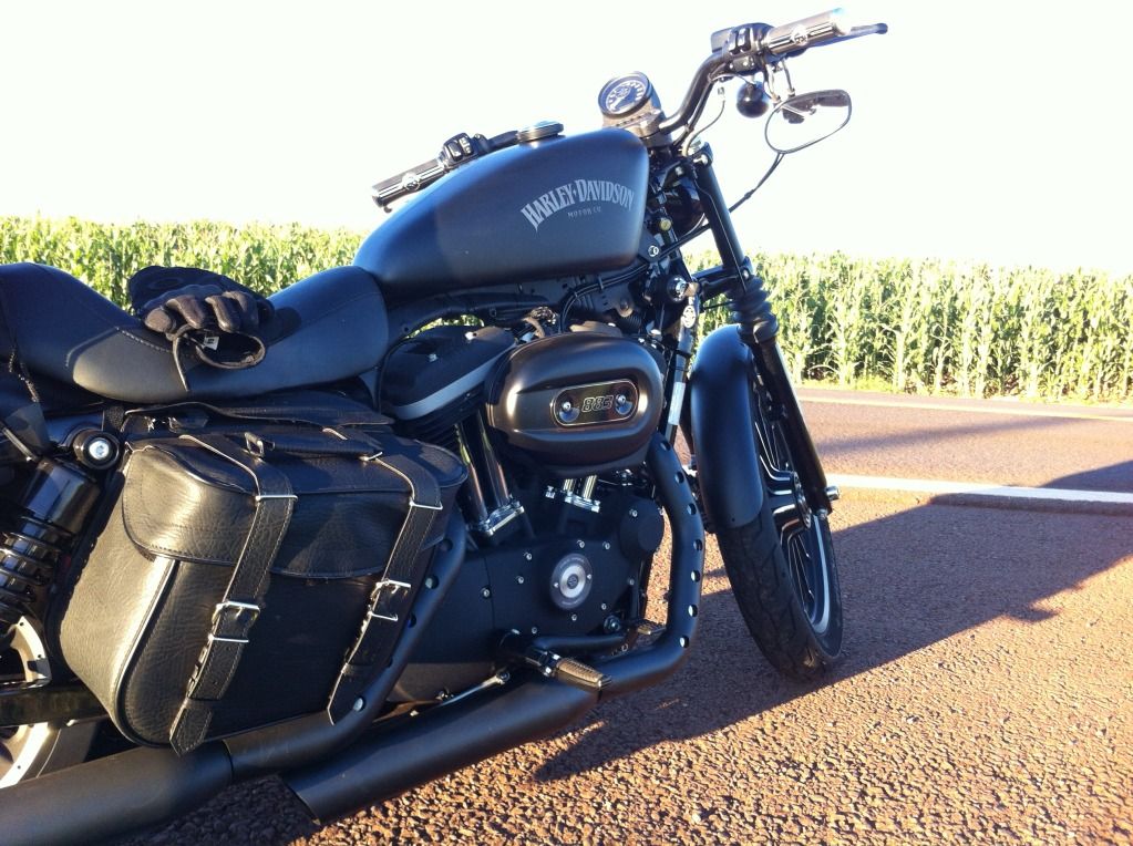 iron 883 bags