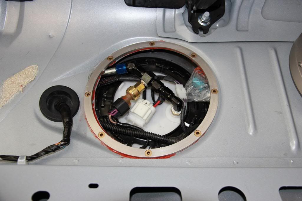 VE Commodore Just Commodores