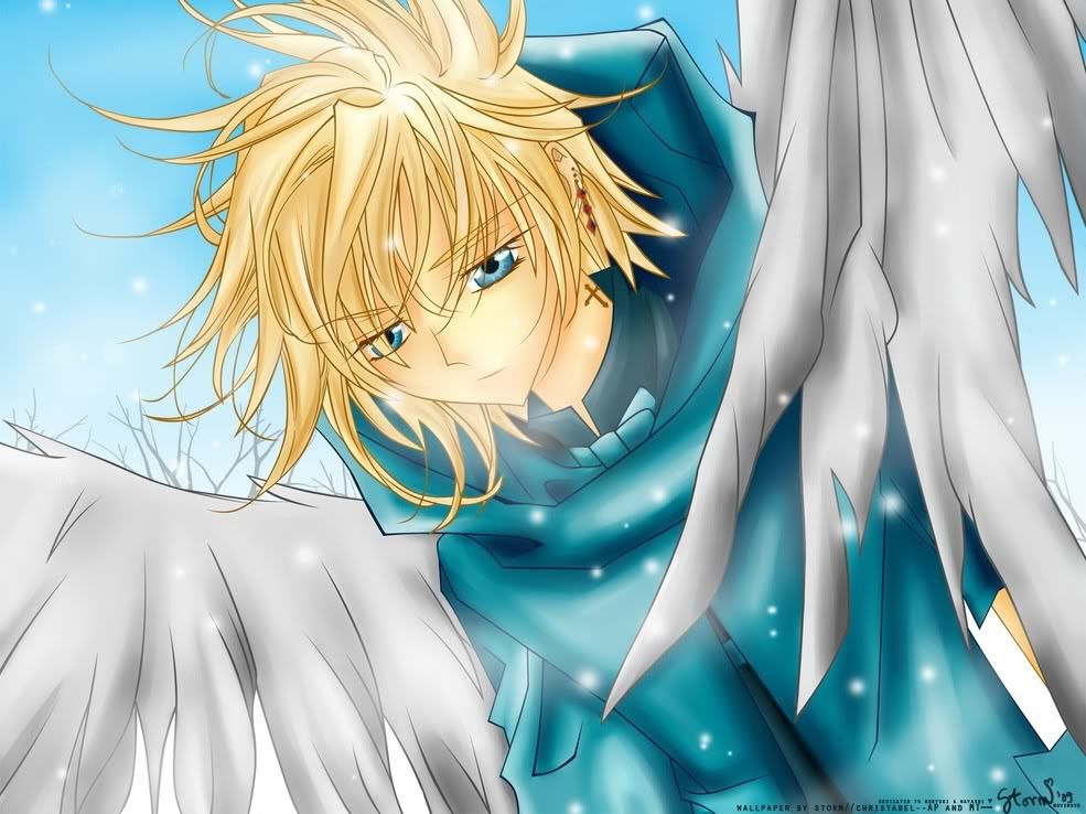 Angel Happiness top