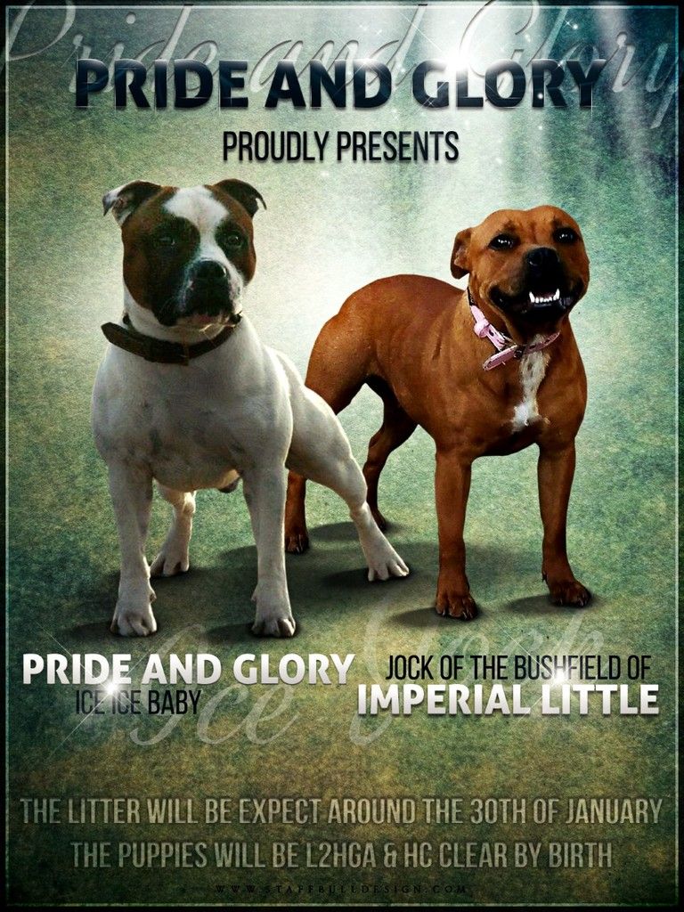 photo thumbnail_Pride-and-Glory-04_zpsppkfcor6.jpg