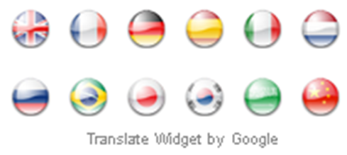 widget google translator