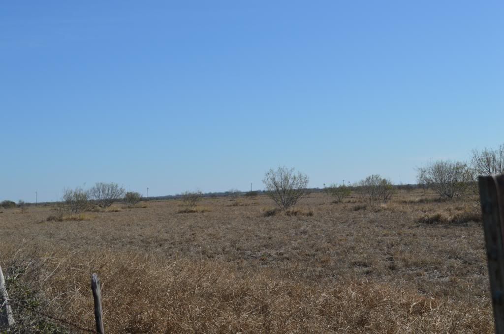 SOUTH TEXAS DOVE LEASE LA PRYOR, TX & DEVINE, TX Texas Hunting Forum