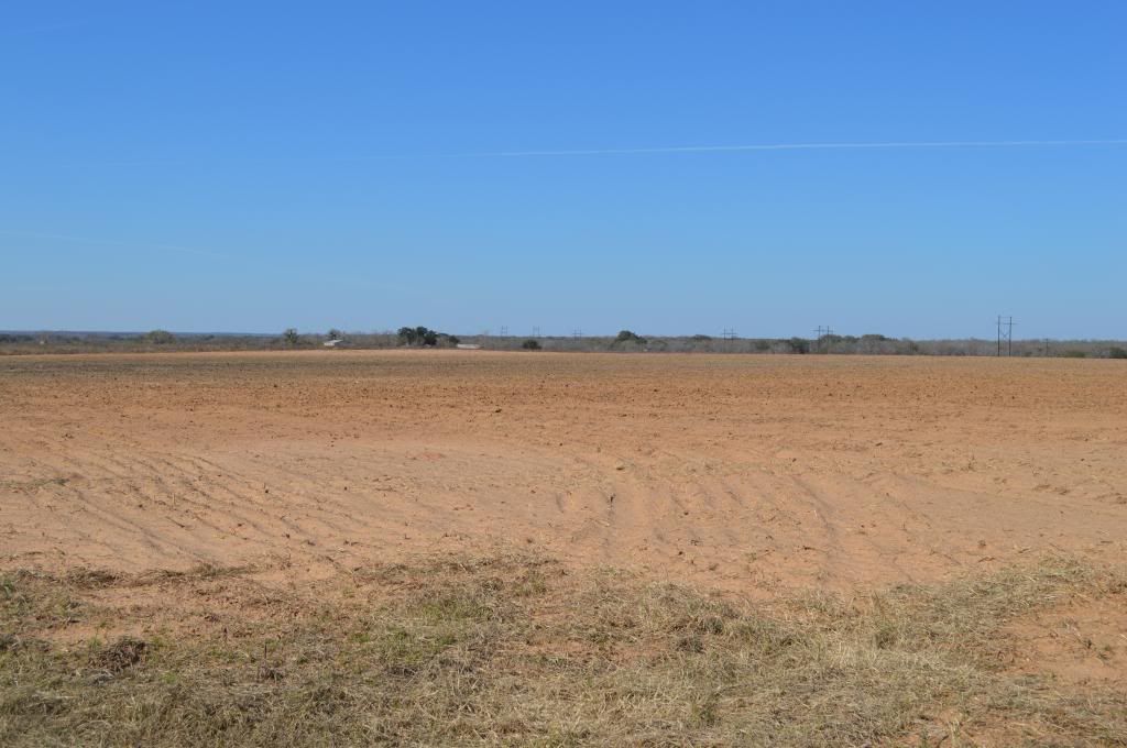 SOUTH TEXAS DOVE LEASE LA PRYOR, TX & DEVINE, TX Texas Hunting Forum