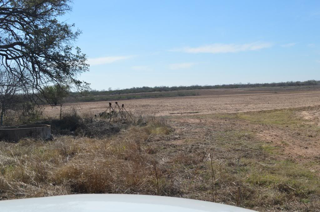 SOUTH TEXAS DOVE LEASE LA PRYOR, TX & DEVINE, TX Texas Hunting Forum