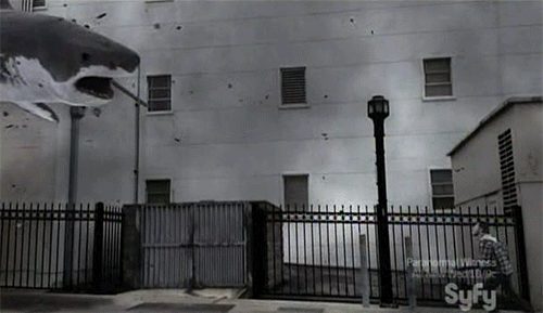 photo 01-shark-jump1_zps3856a0f5.gif