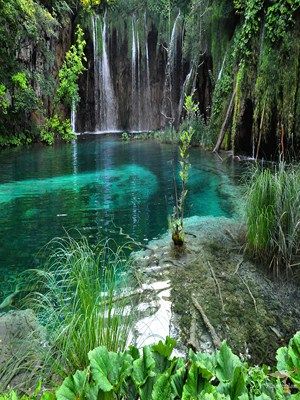 el-bosque-de-las-hadasCopiar_zpsc287c3e4.jpg