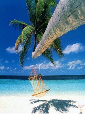 relaxCopiar_zps8d8f612a.jpg