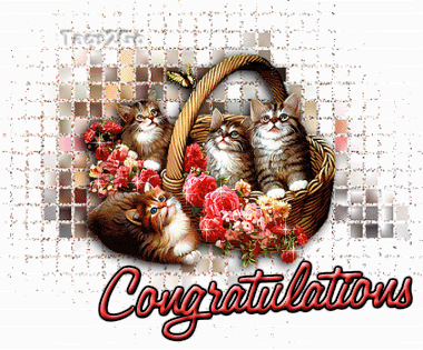 catscongrats - Star Of The Month ~* June 2012 *~