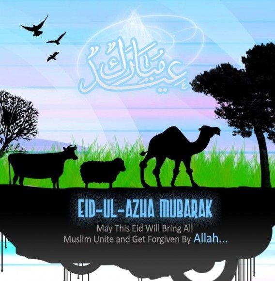 Eid ul Adha Mubarak 568x580 - â˜…Â·.Â·Â´Â¯`Â·.Â·â˜…Eid-Ul-Adha Mubarak to All â˜…Â·.Â·Â´Â¯`Â·.Â·â˜…