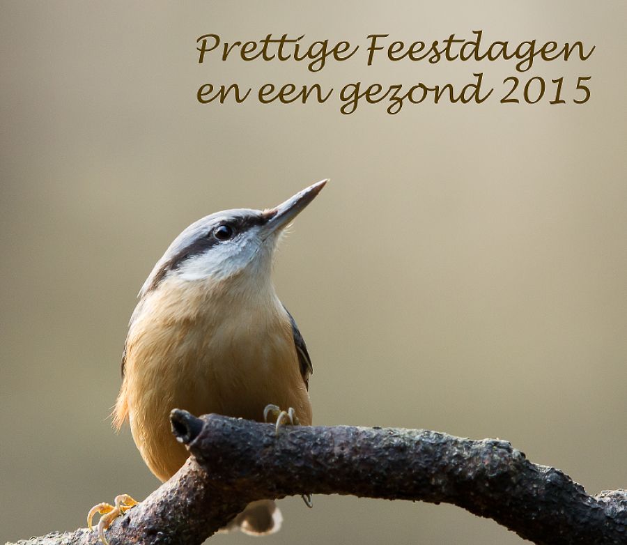 Fotografie