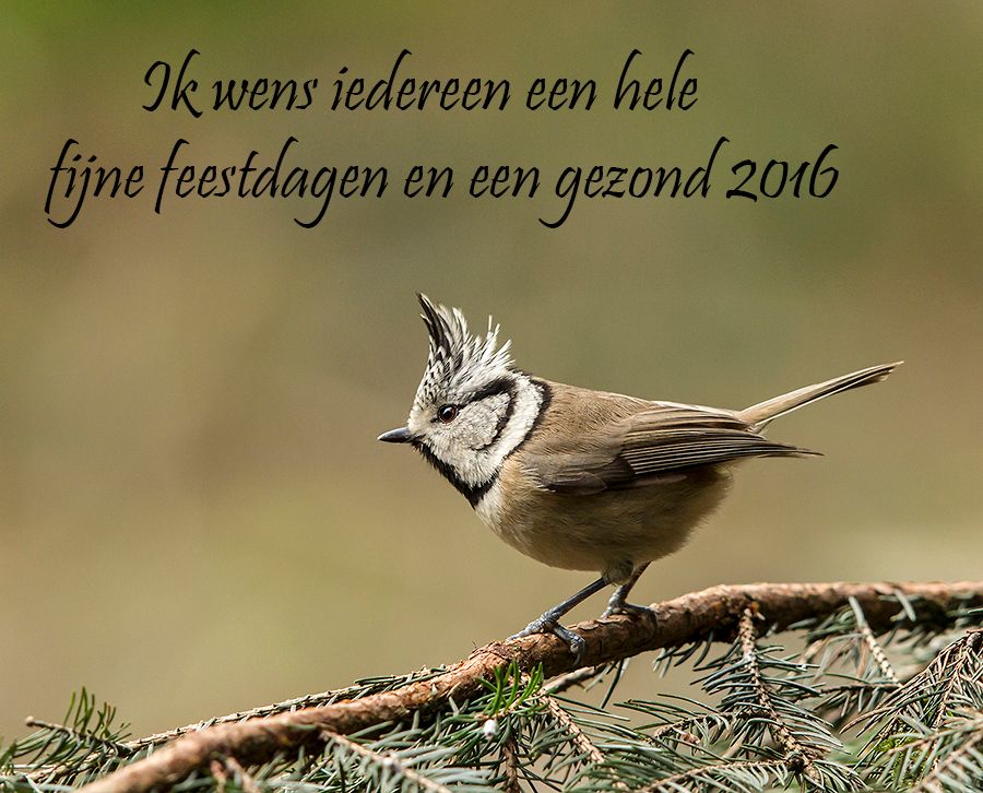 Fotografie
