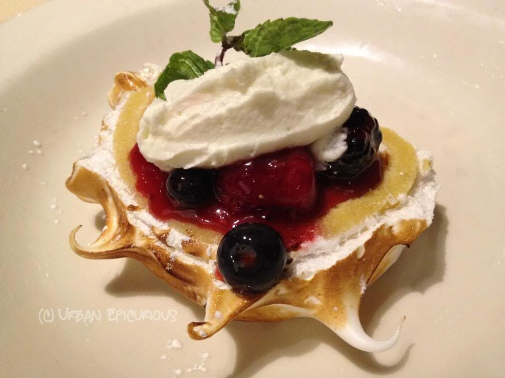 Food-Porn-Italian-Sponge-Cake-With-Fresh-Berries-C-Mercury-Grill-Dallas-TX_zps2d870444.jpg