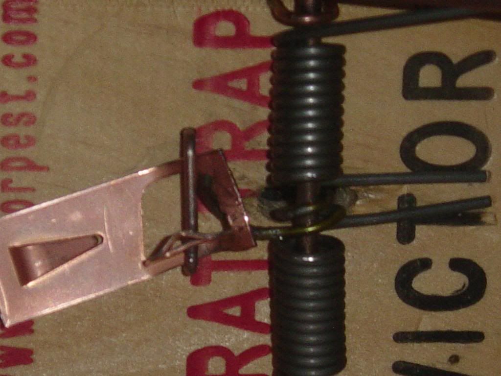 Home Made Dog proof coon trap | Bushcraft USA Forums