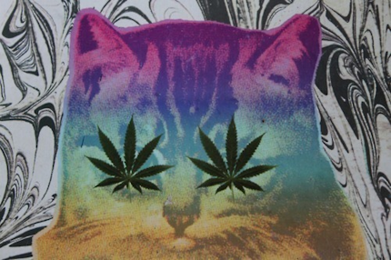 Page Graphics, Layouts, and More!