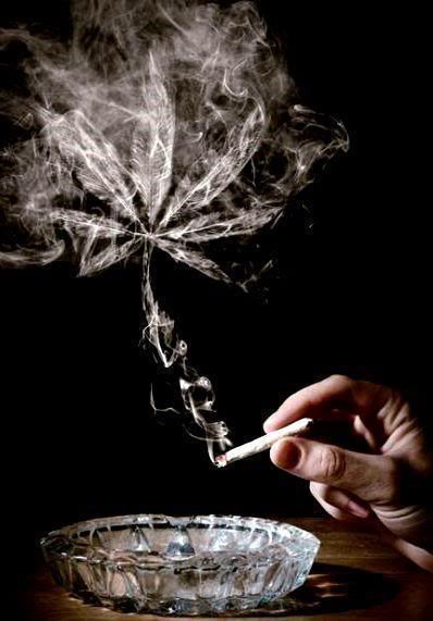 Page Graphics, Layouts, and More!