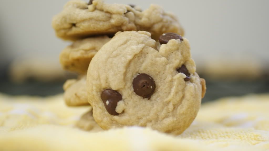 Chewy Chocolate Chip Cookie Recipe 