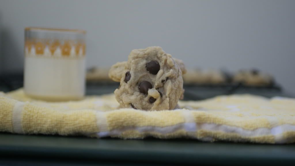 Chewy Chocolate Chip Cookie Recipe