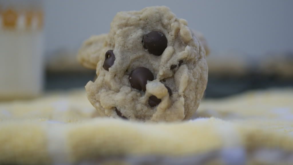 Chewy Chocolate Chip Cookie Recipe