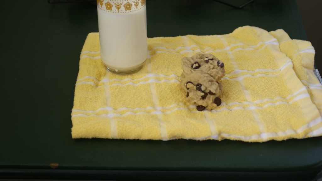 Chewy Chocolate Chip Cookie Recipe