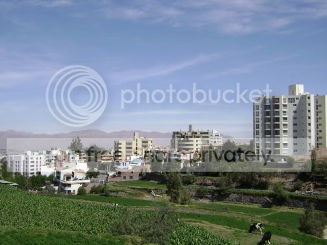 01268d46.jpg