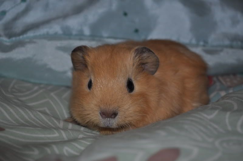 DSC_0014.jpg