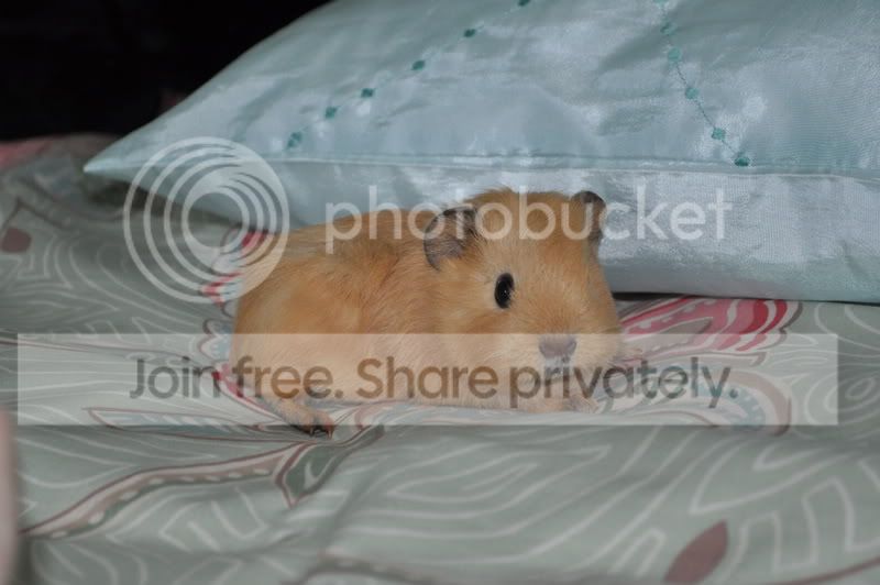DSC_0020.jpg
