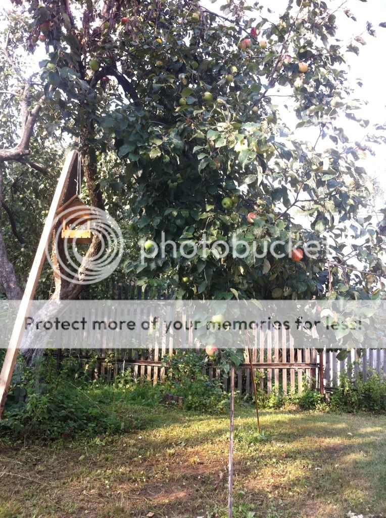 Photobucket Pictures, Images and Photos