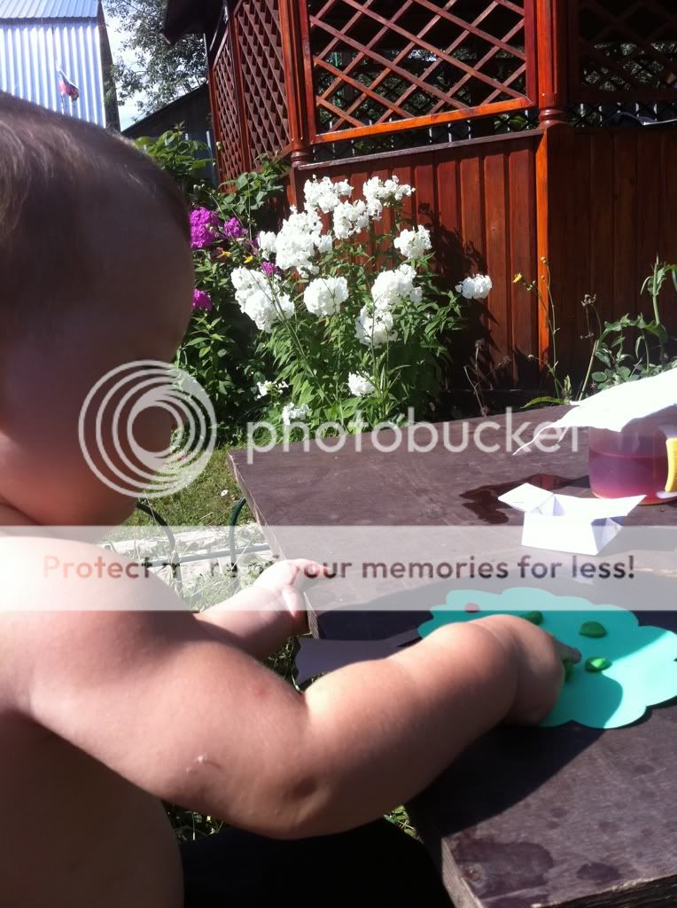 Photobucket Pictures, Images and Photos